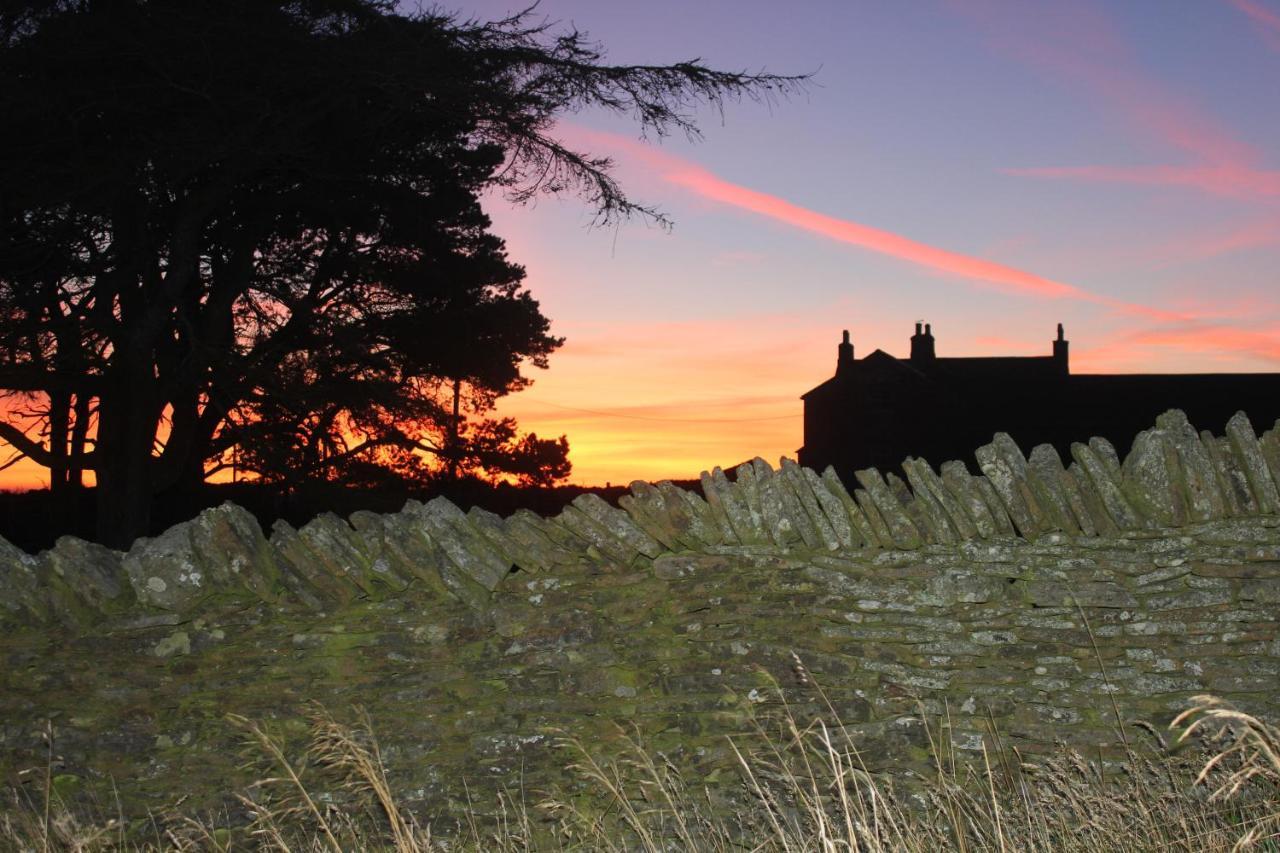 High Keenley Fell Farm Allendale Exterior foto